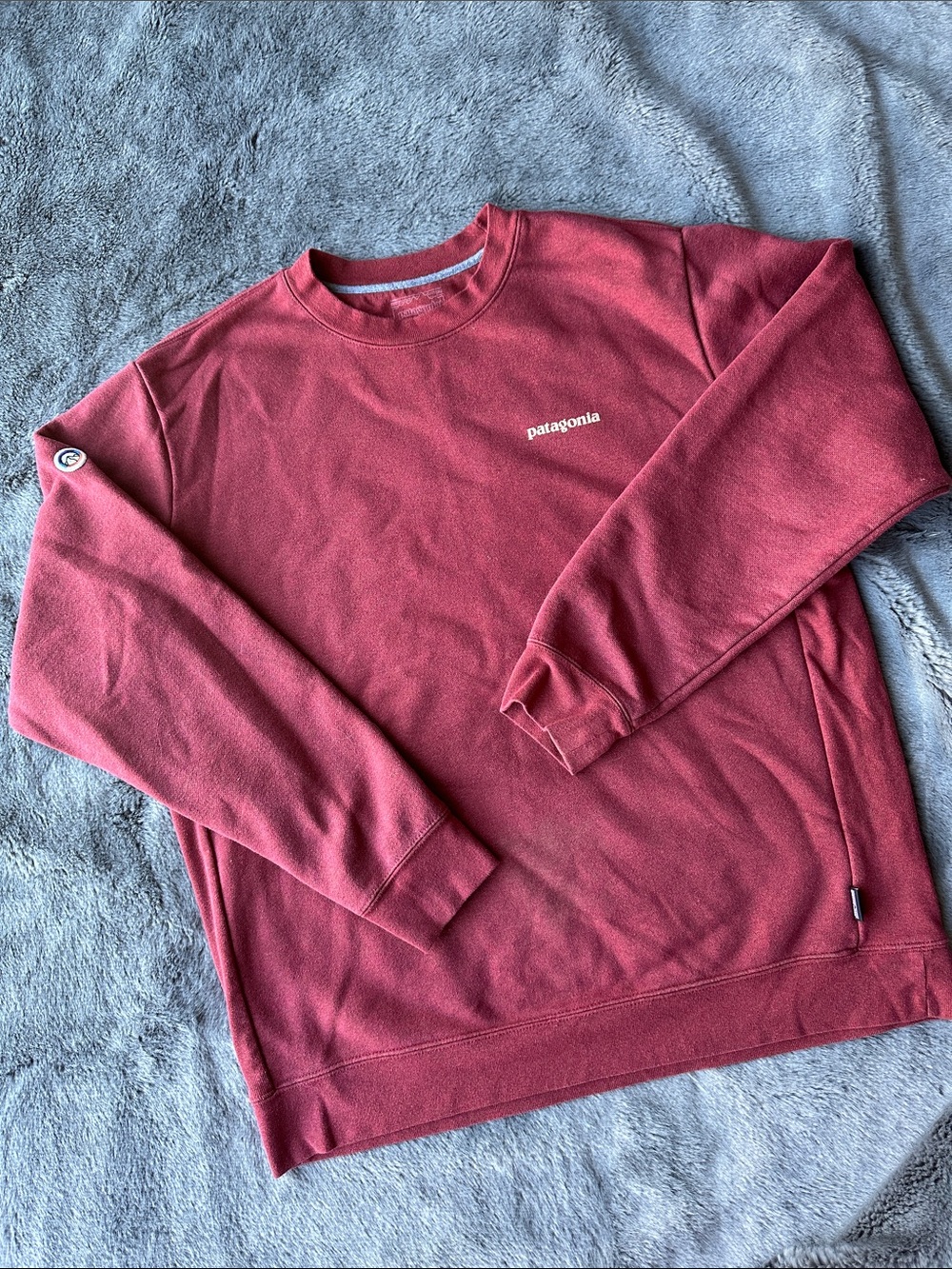 Patagonia Men's Crewneck Sweatshirt in Brick Red